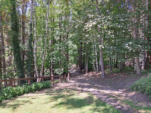 La Salle,:chalet nel bosco: bosco