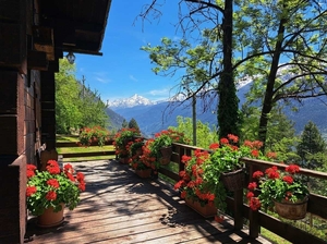 La Salle,:chalet nel bosco: terrazza