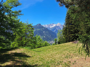 La Salle,:chalet nel bosco: prati e boschi
