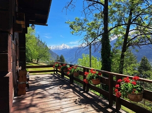La Salle,:chalet nel bosco: terrazza