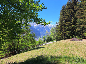 La Salle,:chalet nel bosco: prati e boschi