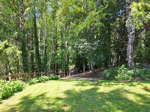 La Salle,:chalet nel bosco: bosco