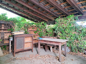 Doues, panoramica casa colonica