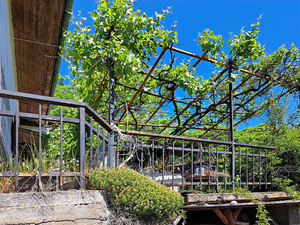 Doues, panoramica casa colonica